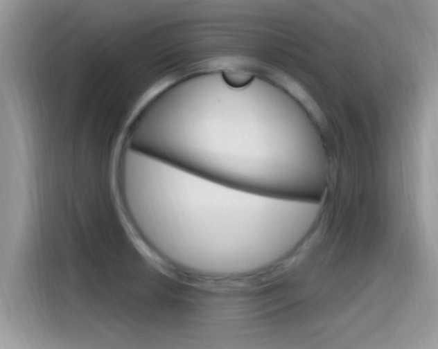 X0000115711042200911120959