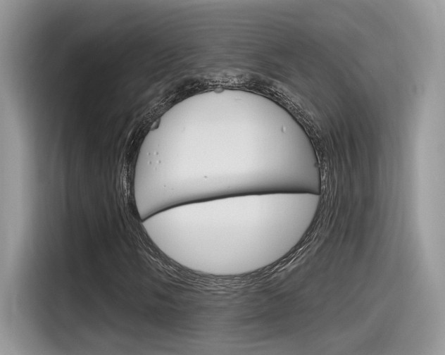 X0000115711058200911120959