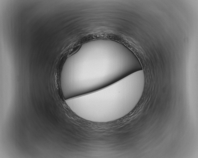 X0000115711060200911120958