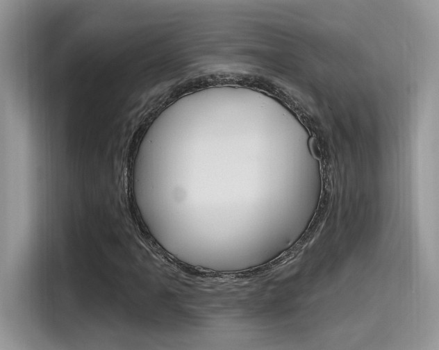 X0000115711061200911120958