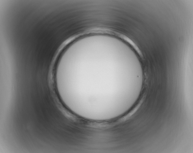 X0000115711074200911120958
