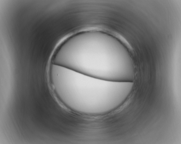 X0000115711079200911120958