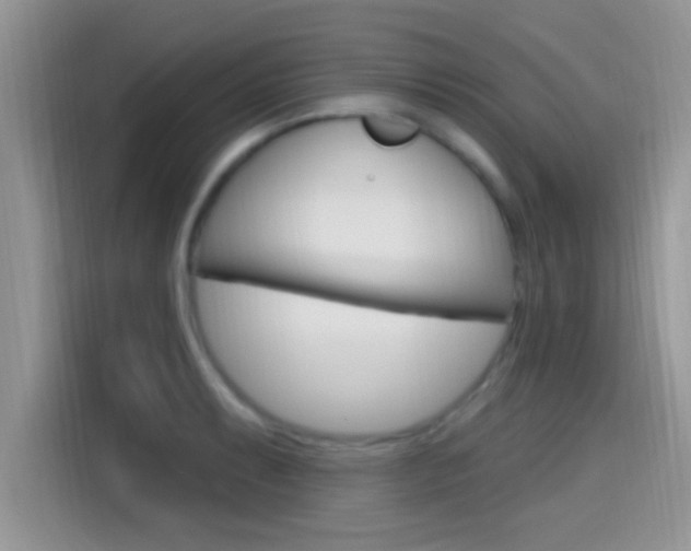 X0000115711087200911120958