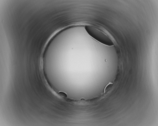 X0000115711092200911120958