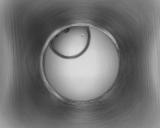 X0000115711096200911120958