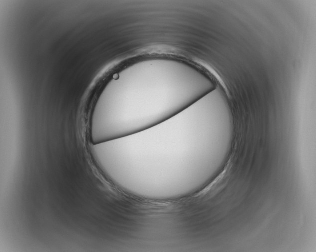 X0000115711115200911120957