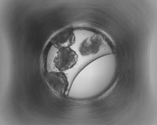 X0000115711117200911120957