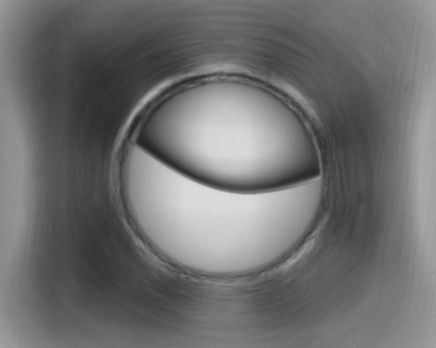 X0000115711118200911120957