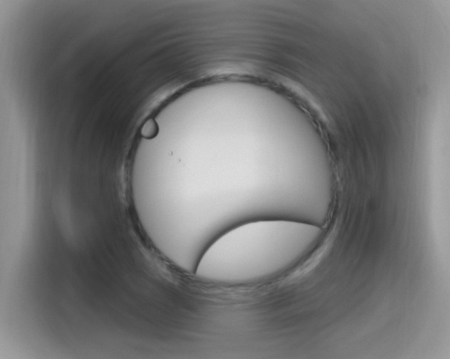 X0000115711121200911120958