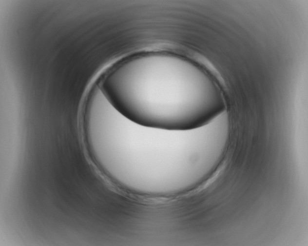 X0000115711122200911120958