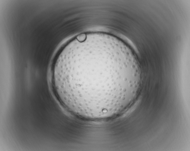 X0000115711125200911120958