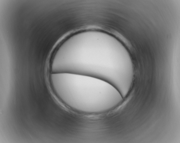X0000115711126200911120958