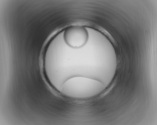 X0000115711130200911120958