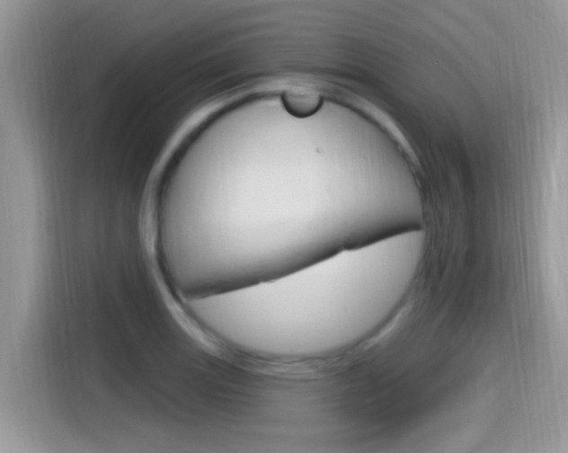 X0000115711131200911120958