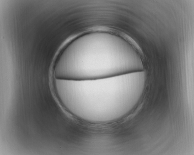 X0000115711133200911120958