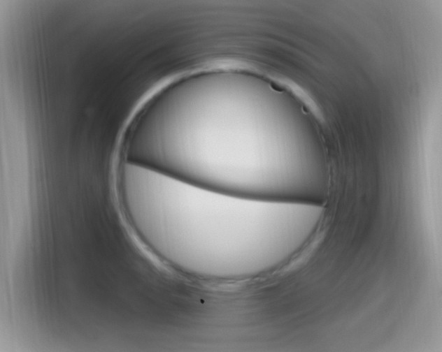 X0000115711134200911120958