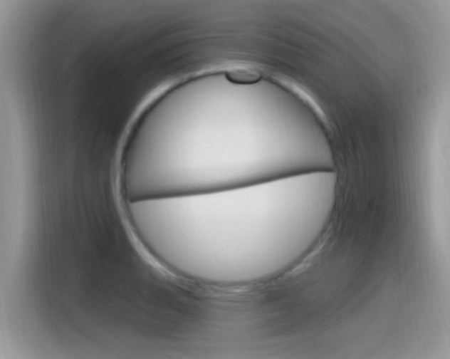 X0000115711135200911120958