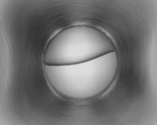 X0000115711137200911120958