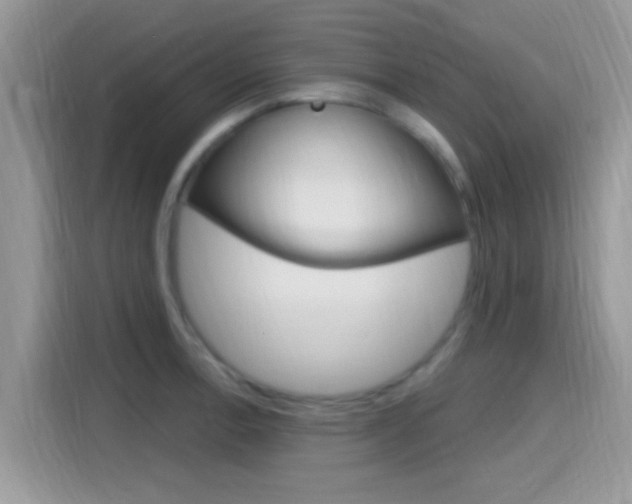 X0000115711138200911120958