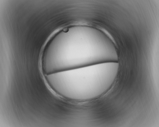 X0000115711139200911120958