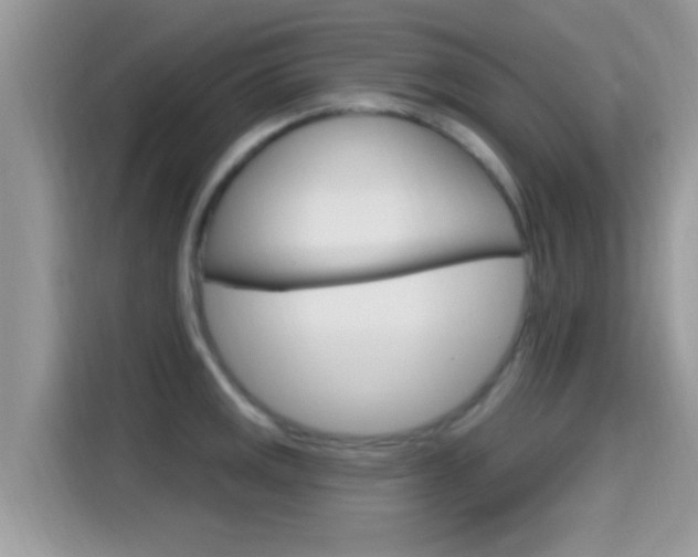X0000115711141200911120958