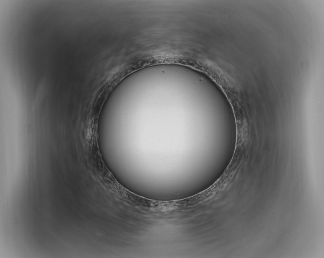 X0000115711157200911120957