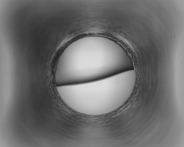 X0000115711160200911120957
