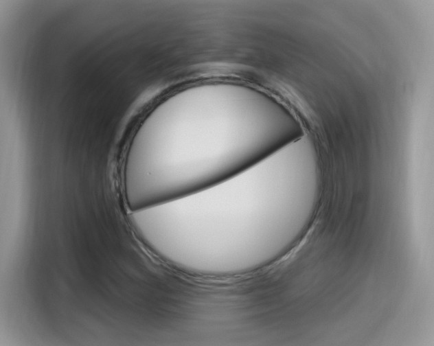 X0000115711164200911120957