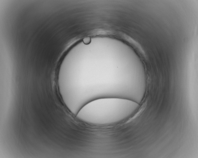 X0000115711170200911120957
