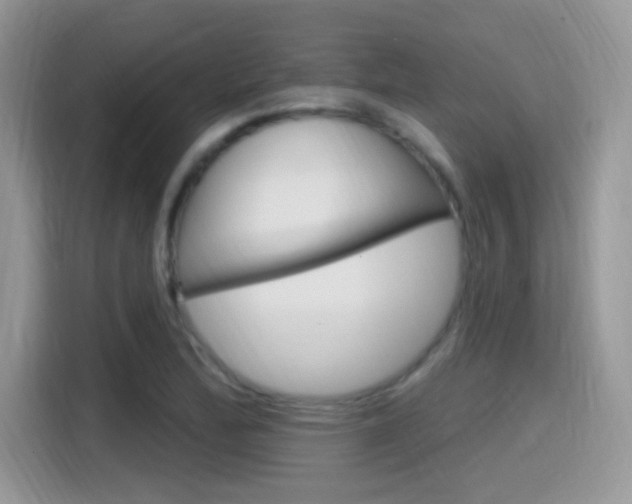 X0000115711172200911120957