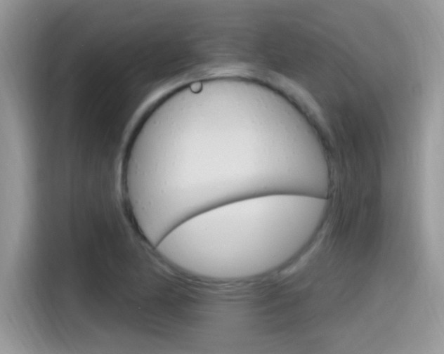X0000115711174200911120957