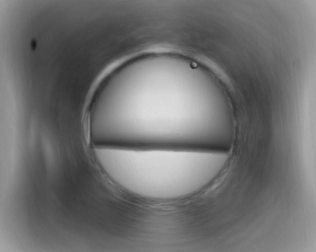 X0000115711175200911120957