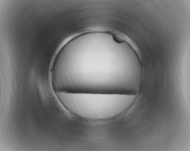 X0000115711187200911120957