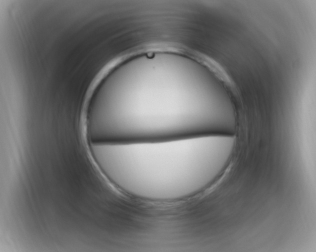 X0000115711188200911120957