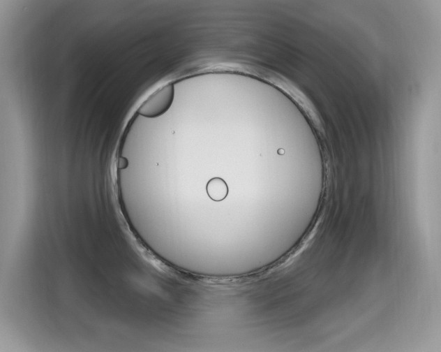 X0000115711198200911120957