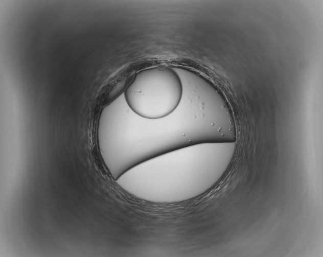 X0000115711205200911120956