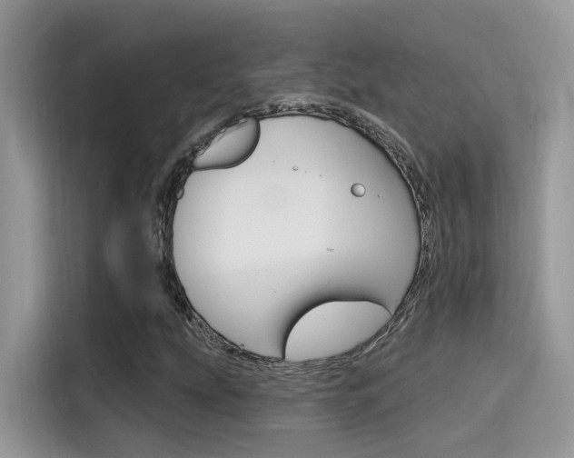 X0000115711207200911120956