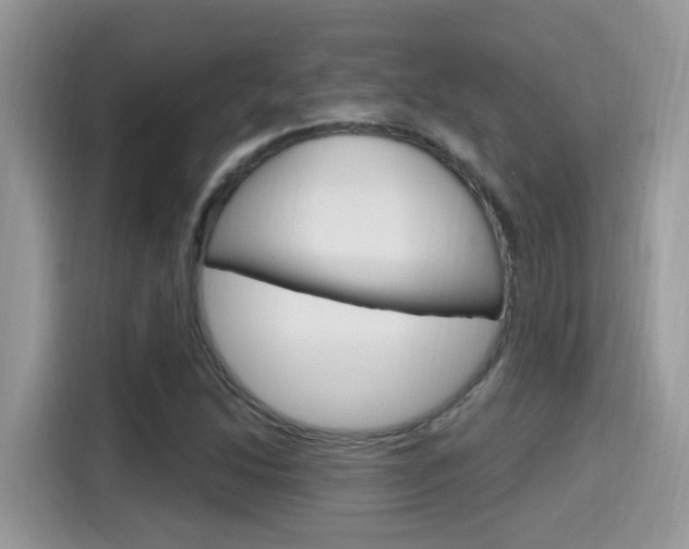 X0000115711214200911120956