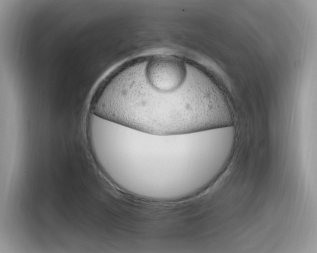 X0000115711216200911120956