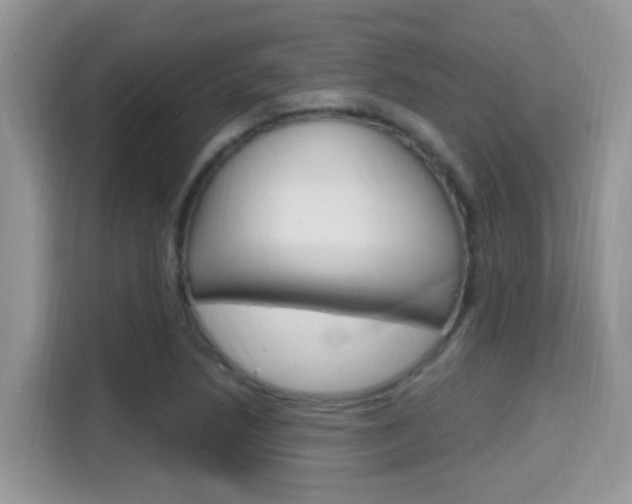 X0000115711218200911120956