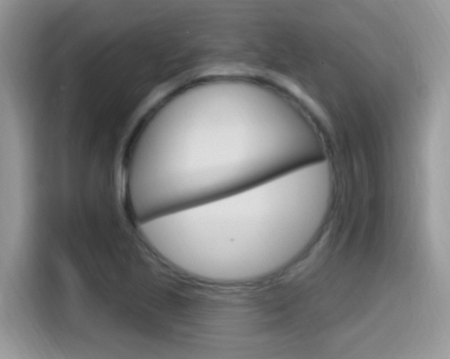 X0000115711221200911120956