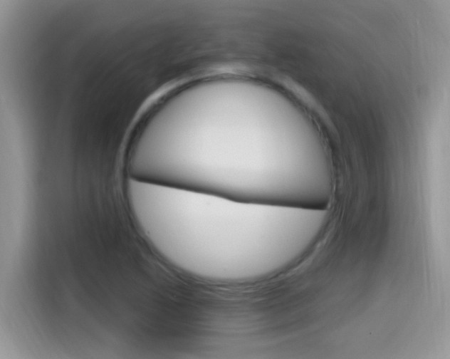 X0000115711222200911120956