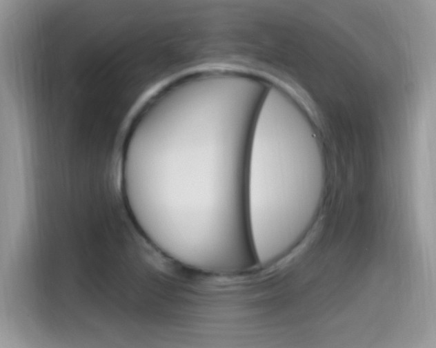 X0000115711224200911120956