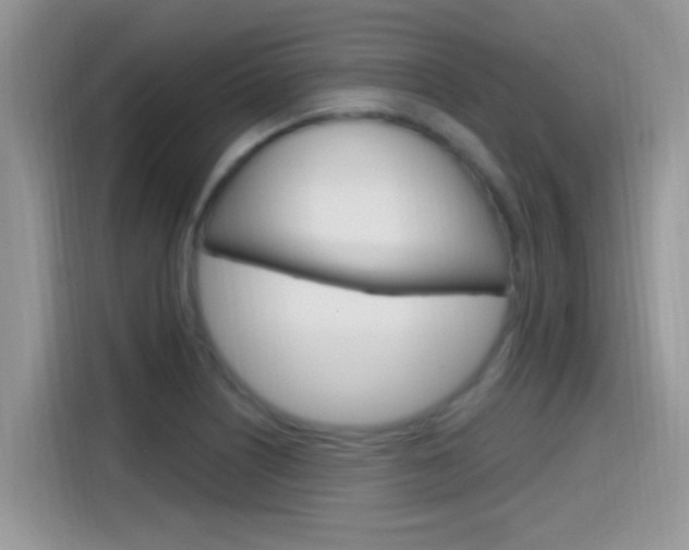 X0000115711226200911120956