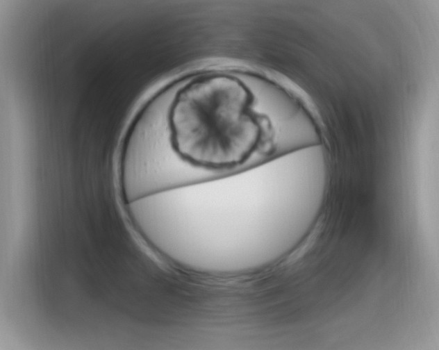 X0000115711231200911120956