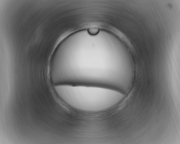 X0000115711234200911120956