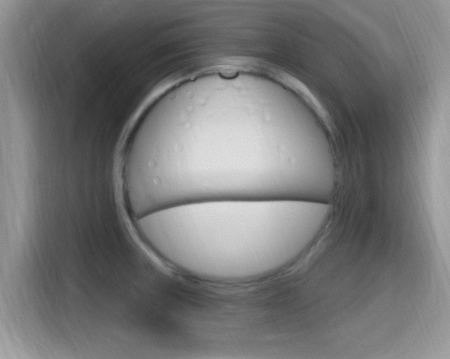 X0000115711235200911120956