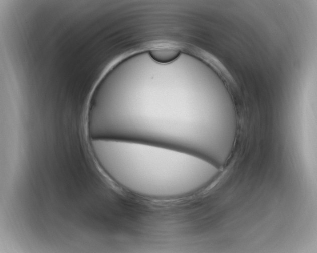 X0000115711236200911120957