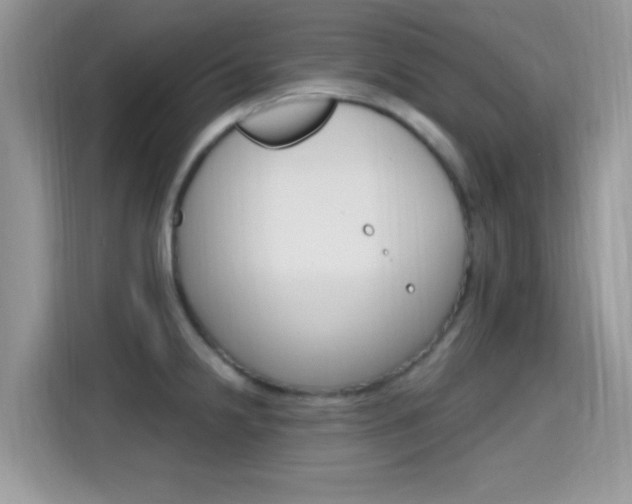 X0000115711238200911120957