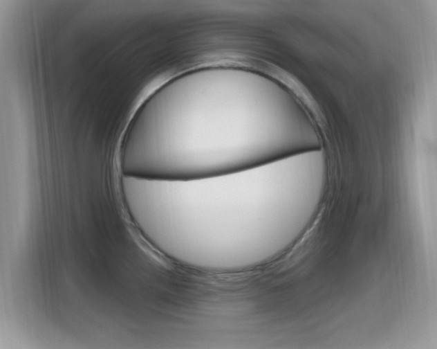 X0000115711242200911120957